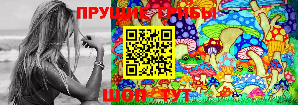 Павловский Посад  Галлюциногенные грибы MAGIC MUSHROOMS  наркотики  Вход с VPN  Псилоцибиновые грибы мицелий 